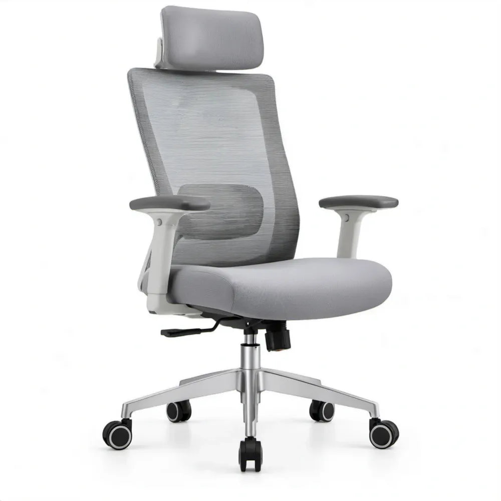 Ergonomische bureaustoel met hoofdsteun en lendensteun, grijs/zilver, 66 x 66 x 118-128 cm